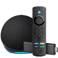 Amazon fire tv stick store and echo dot bundle