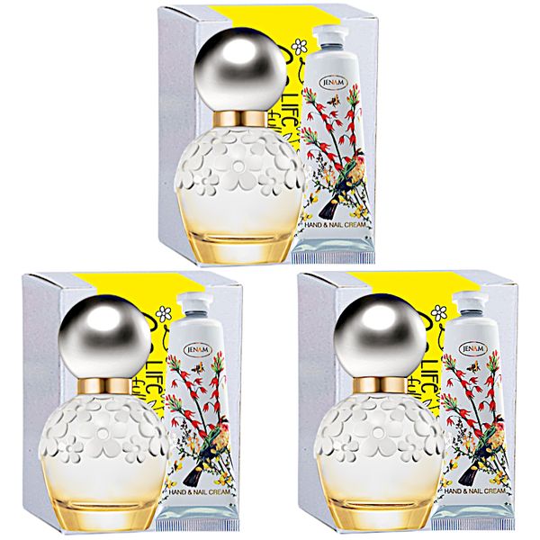 Daisy - Live Life in Full Bloom Gift Box - 3 Pack Bulk Saver