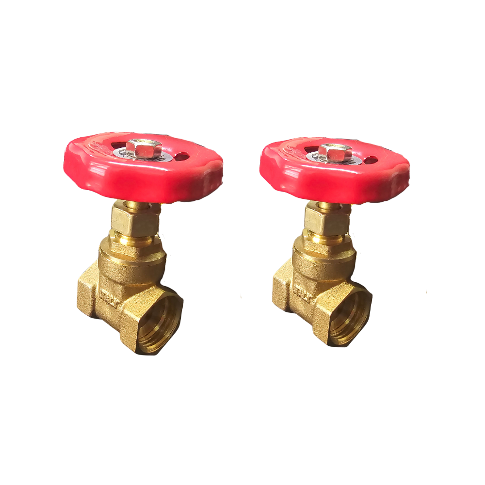 High End 1/2 Inch Brass Gate Valve - Set of 2