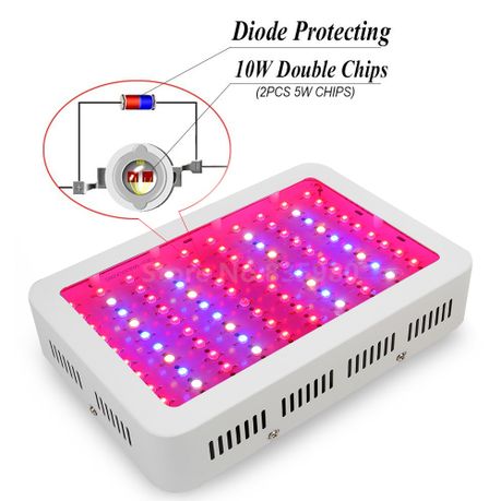 Best LED Grow Light 1000W Full Spectrum for Indoor Hydroponic