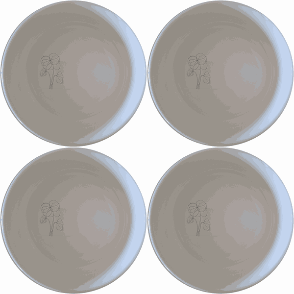 Begonia Maculata Bowl Set of 4 - Range 4