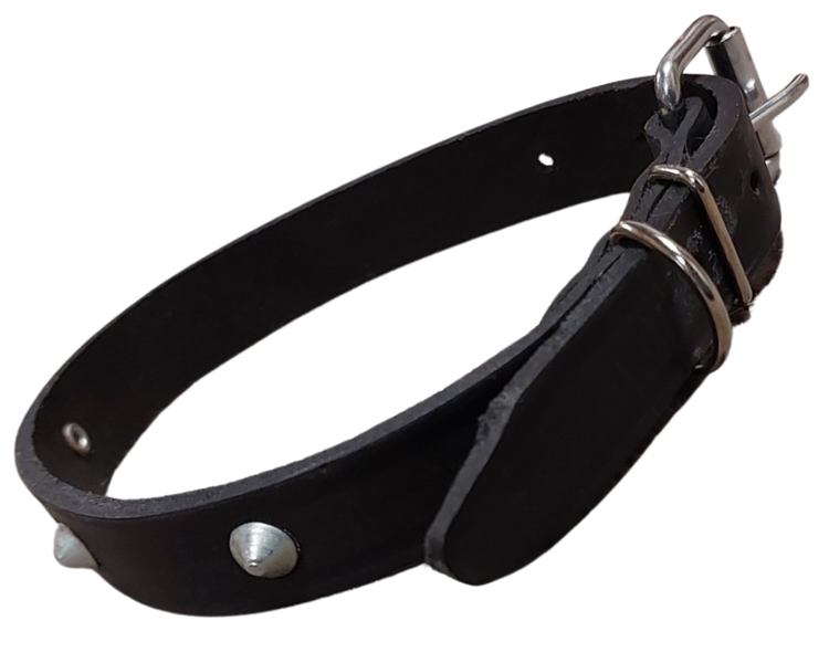 Black Genuine Leather 19 mm Dog Collar