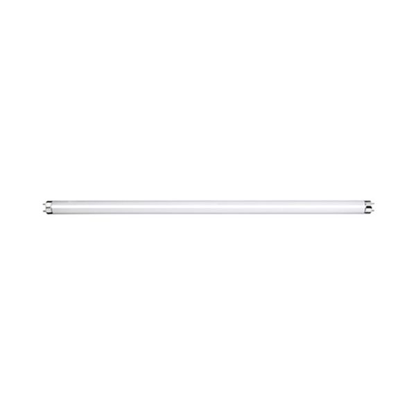 RADIANT Spare Light (T8 G13 Tube for Insect Killer, 15W)