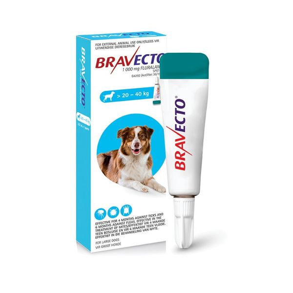 Bravecto Tick &amp; Flea Spot-On Dog Large >20 - 40kg (Blue Box)