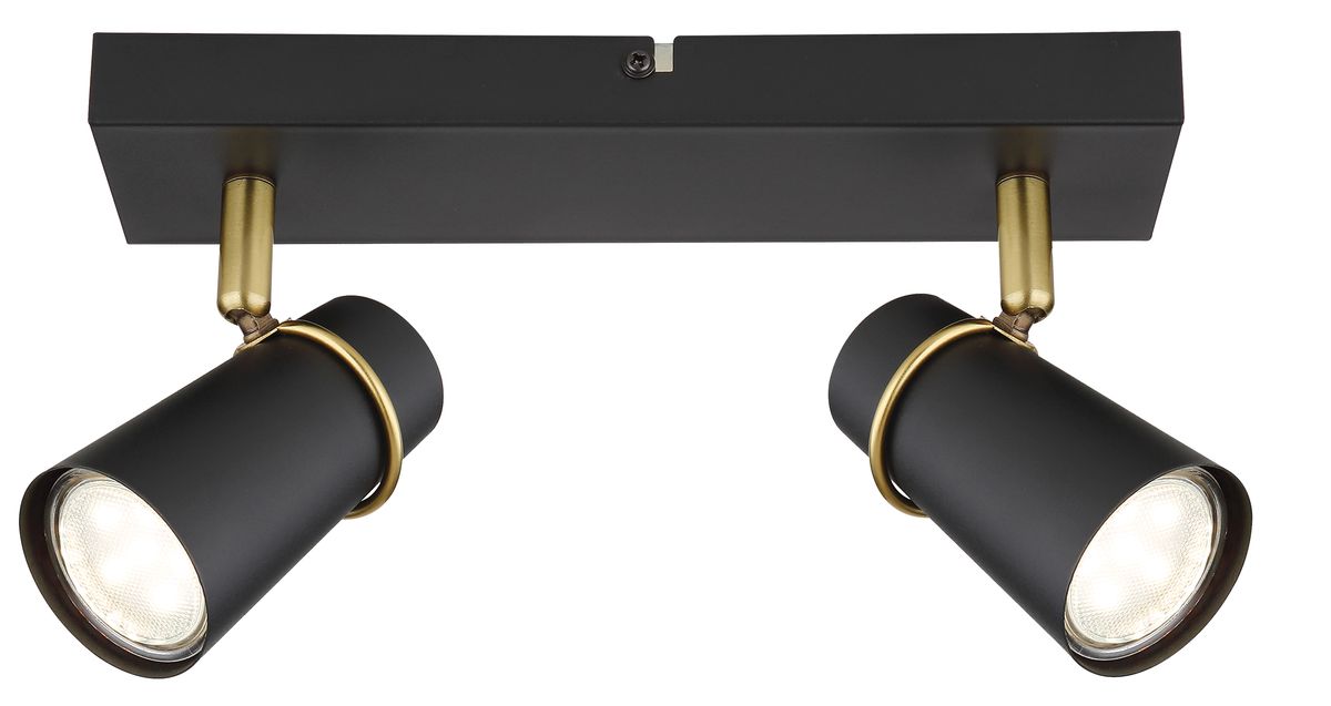 Two Light Matt Black Adjustable Spotlight with Antique Brass Accents - S411
