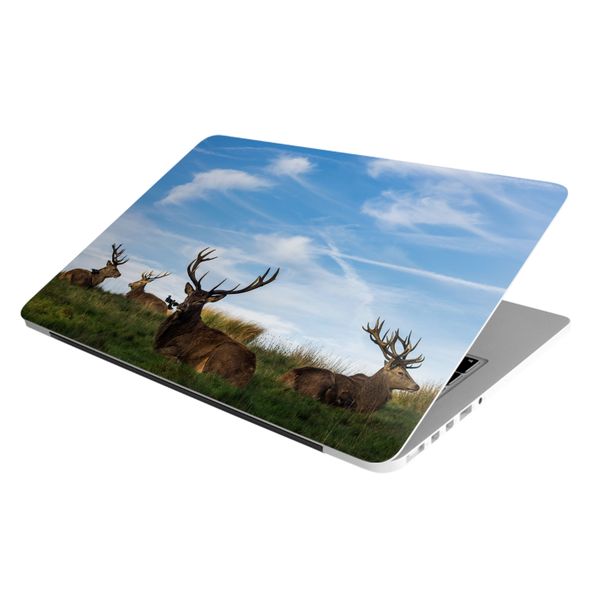 Laptop Skin/Sticker - Reindeer