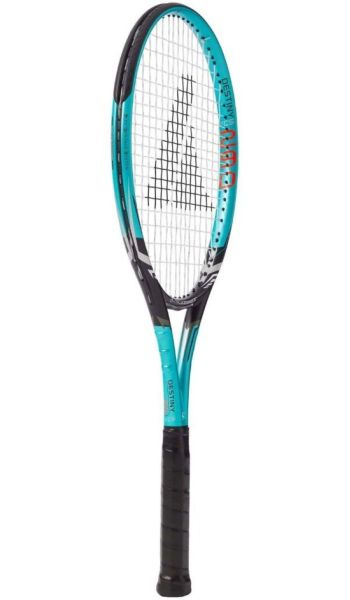 Destiny FCS 265gr L2