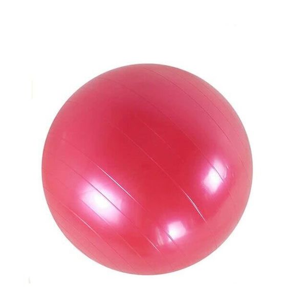 55cm Yoga Exercise Ball 183086