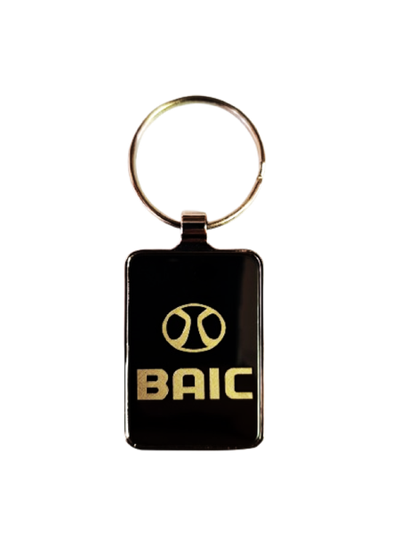 Baic Stainless Steel Tag Keyring