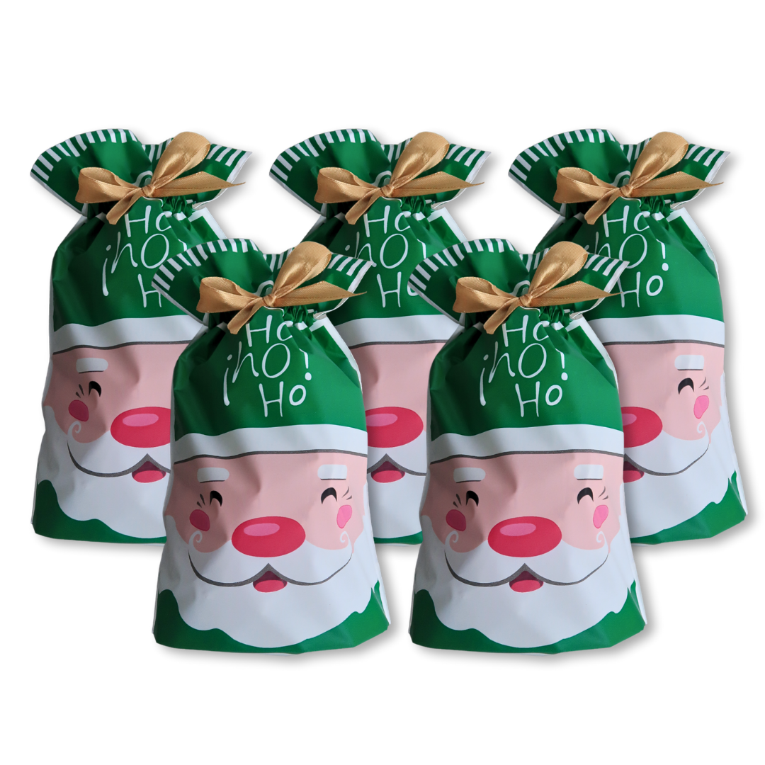 5pcs Christmas Gift Bags with Gold Drawstring Green Santa HoHoHo