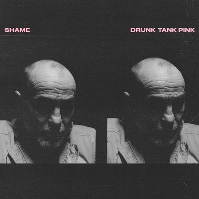 Drunk Tank Pink (Vinyl / 12" Album)