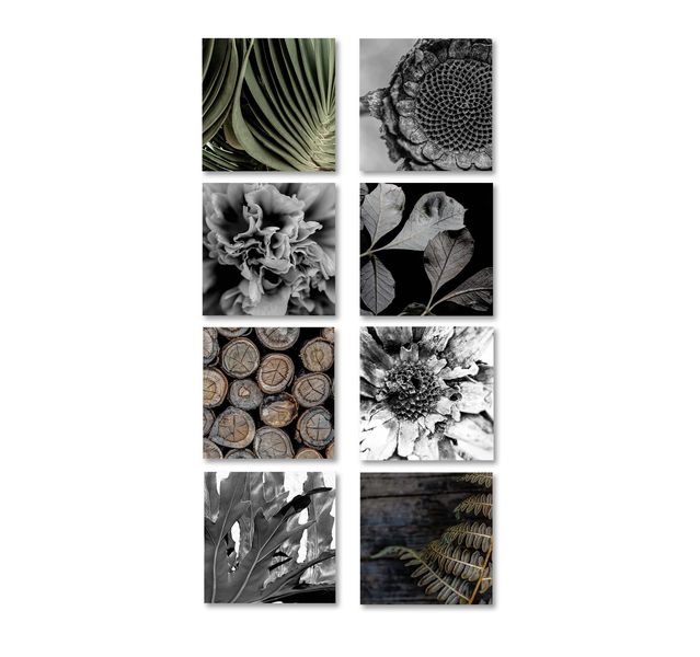 CapeArt Birch Block 8 pce collage ON THE FARM