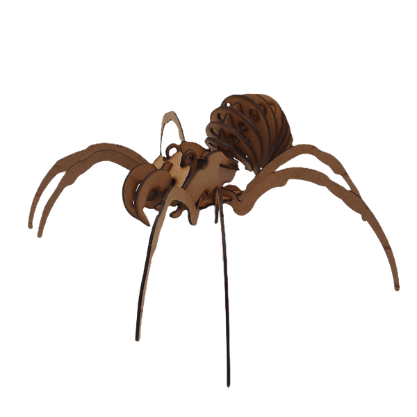 Spider 3D Puzzle Wooden 3D Model Everything Laser Insect Animal