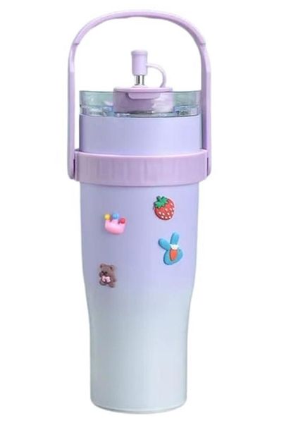 Stainless Steel Double Wall Vacuum Insulated Tumbler With Straw and Handle