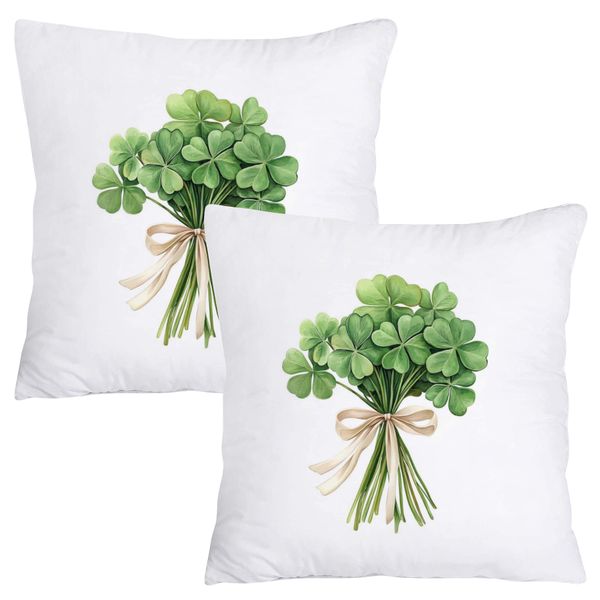 Scatter Cushion Cover Set - A bouquet of 4 leaf green clovers with a bow