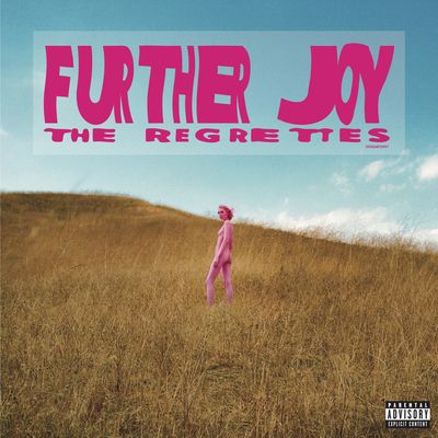 Further Joy (Vinyl / 12" Album)