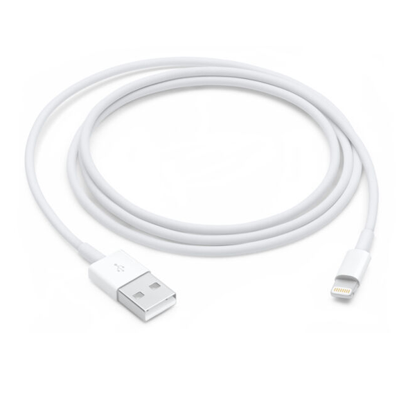 iLite 1 Meter Fast Lightning Charging and Data Sync Cable - White