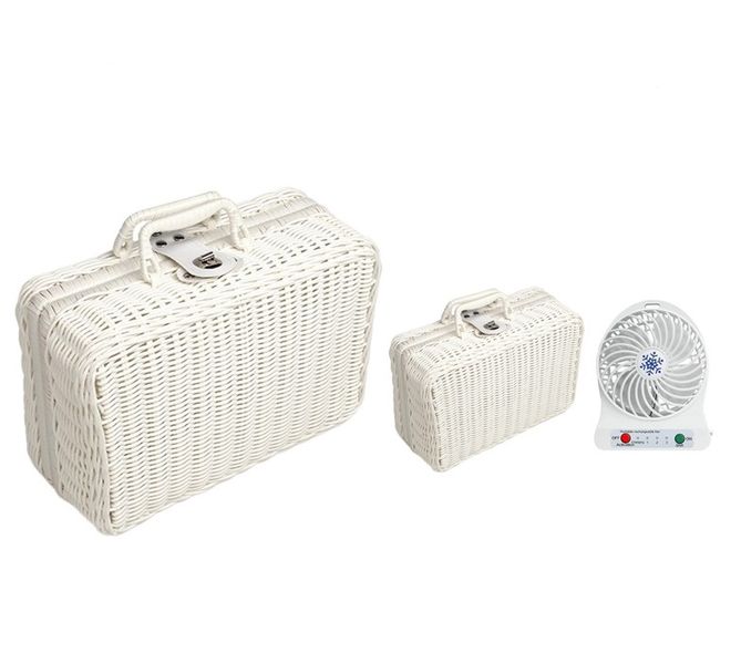 GLS Set Of 2 Picnic Bag With A Mini Fan