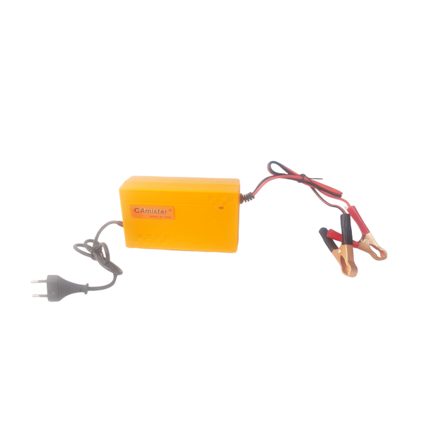 15A Intelligent Pulse Charger 12V