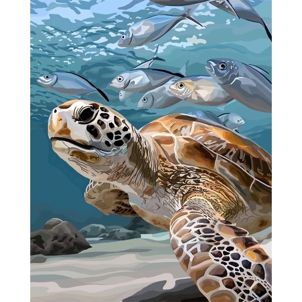 Artikon Paint By Numbers DIY 40cmx50cmx2cm - Turtle Swimming Fish