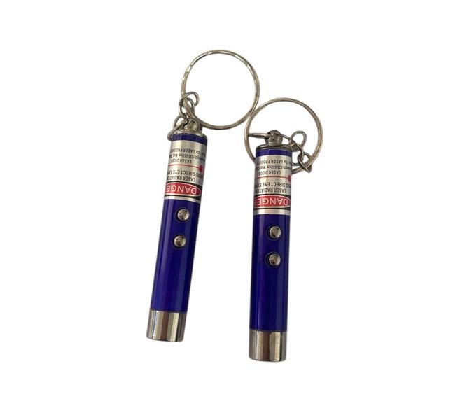 2 x Laser Light Pointer for Keychains