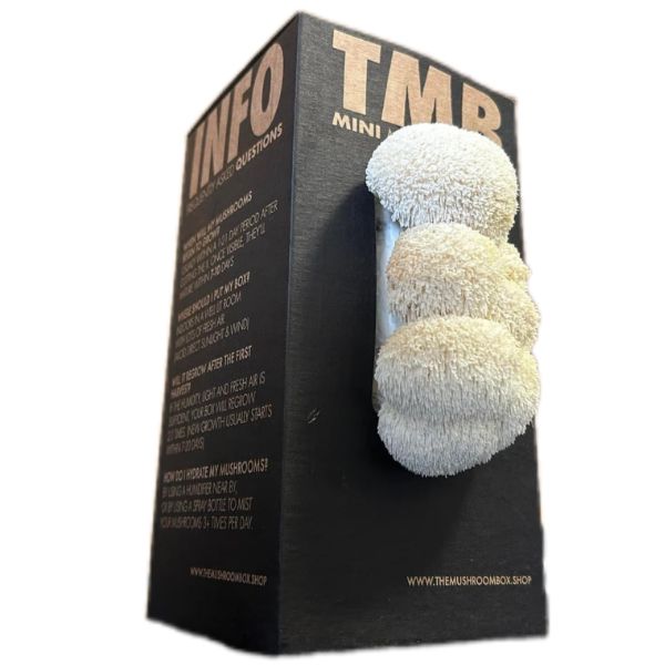 Lionsmane Mushroom Box
