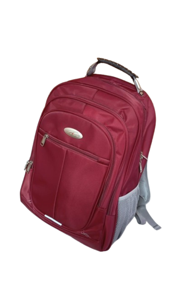 Sam Mag Biz Laptop Backpack or School Bag with Multiple Compartments 2XL