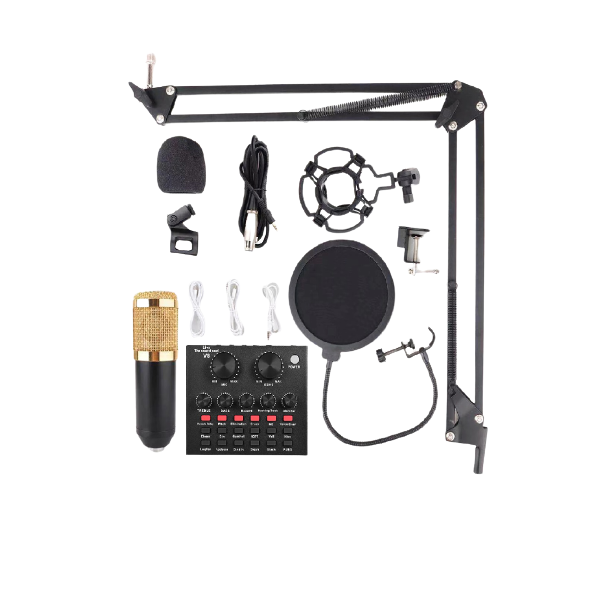 Studio Condenser Microphone with V8 Live sound - black &amp; gold