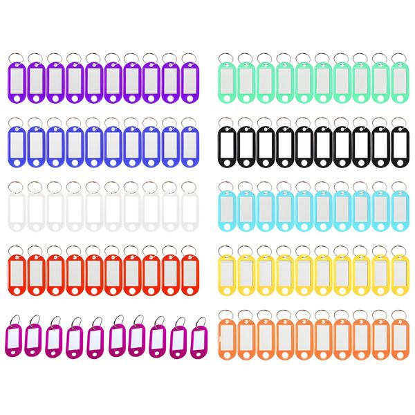 Plastic Key Tags Key Labels with Ring &amp; Label Window - 10 Colors (100 Pieces)