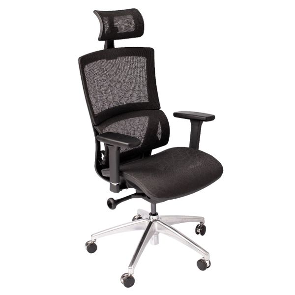 WP Beta Ergonomic Home Office Chair