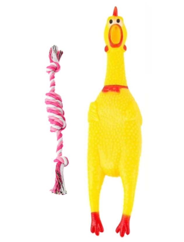 Dog Chew Toy Pack Squeaking Rubber Chicken, Chew Rope 2 Piece Shop Today. Get it Tomorrow