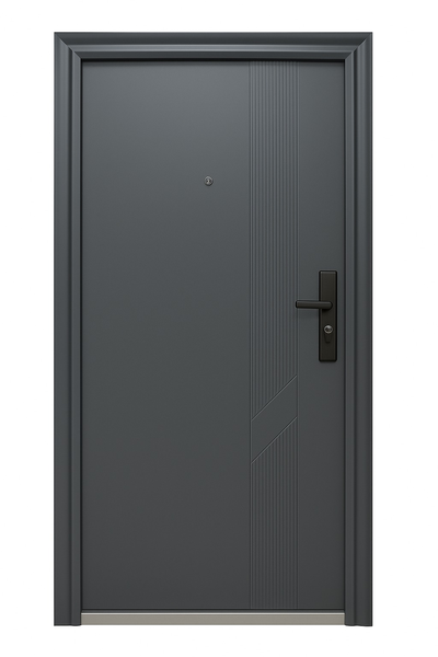ZYS Modern Steel Security Door with Frame