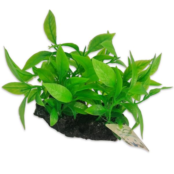 Plant Aquarium Ornament