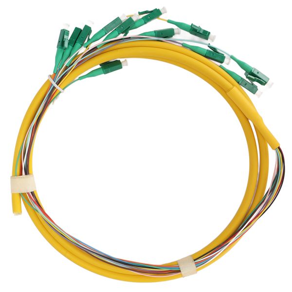 1.5m Single Mode 12-Strand Fiber Pigtail for LAN Systems