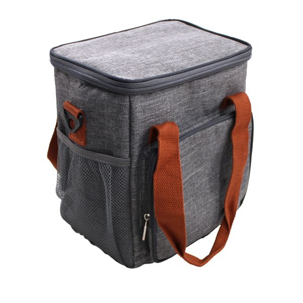 9 Liter Insulated Cooler Picnic Bag with Waterproof Liner &amp; Shoulder Strap