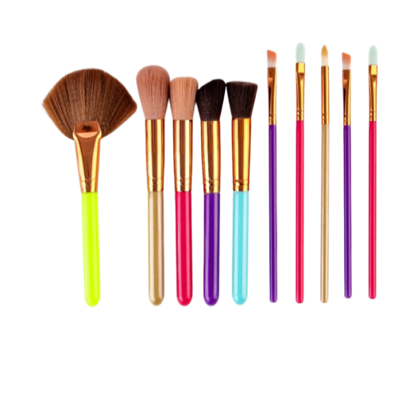 10 piece Makeup Brush Set