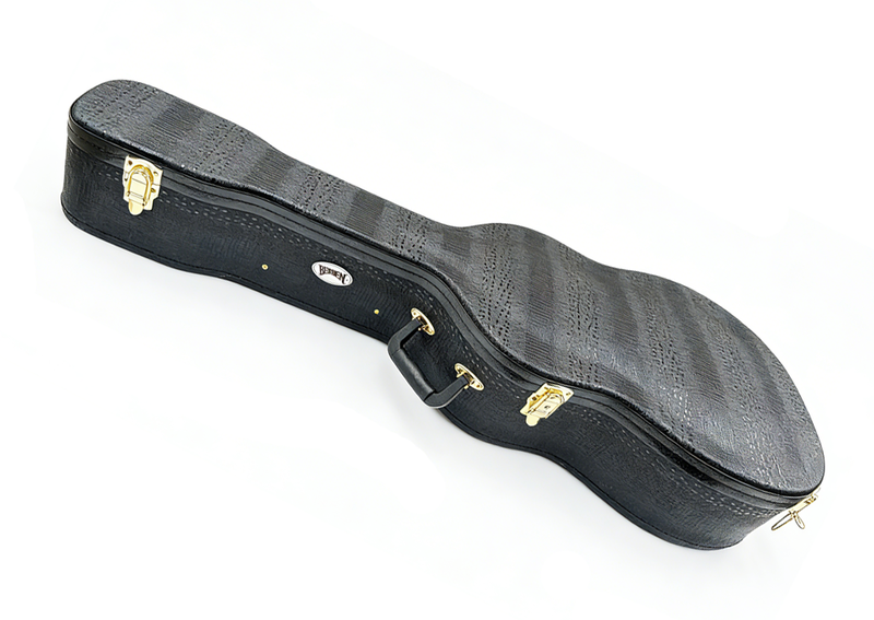 Bergen AJGC-2J - Jumbo Acoustic Guitar Case