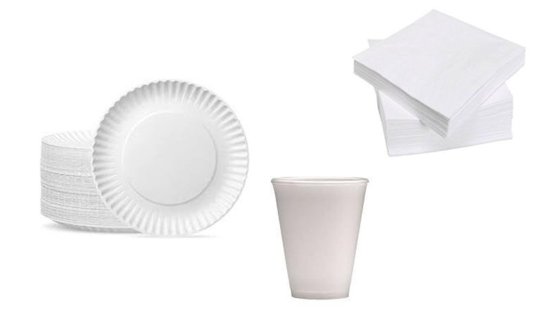 White Compostable Paper Plates 23cm , With 1 Ply Serviettes And 500ml Cups