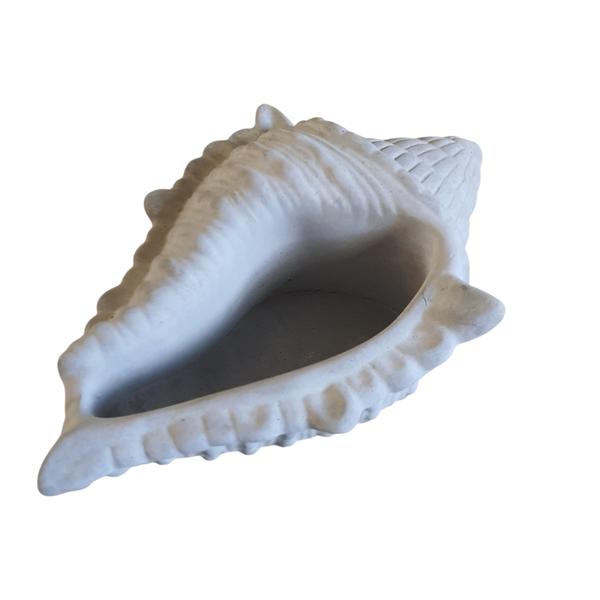 Earth to Eden - Cement Sea Shell - bathroom decor