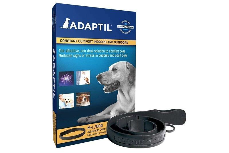 Adaptil (DAP) Pheremone Collar - Medium/Large - 70cm