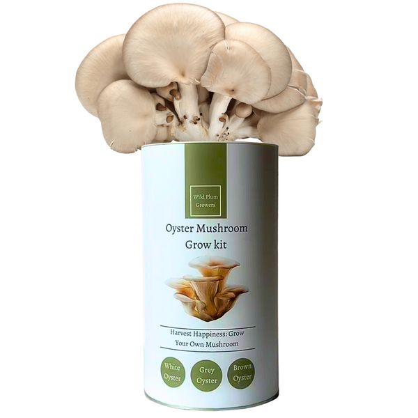 Wild Plum Growers Grey Oyster Mushroom Grow Kit