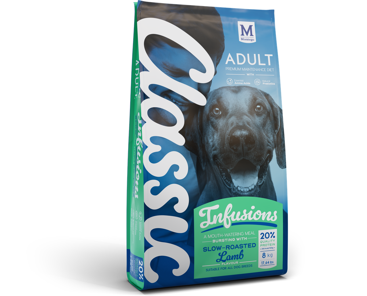 Adult Dog Food Timing