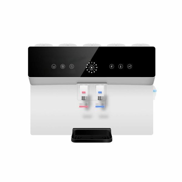 Reverse Osmosis (RO) Water Purifier &amp; Dispenser