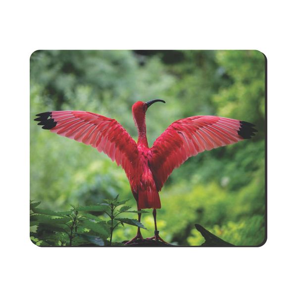 Mouse Pad - Flamingo