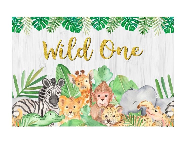 Small Kids Birthday Party Table and Photography Backdrop (Wild One)