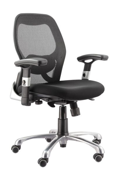 Eay Eay Thing Deluxe Ergonomic Office Chair With Adjustable Armrests