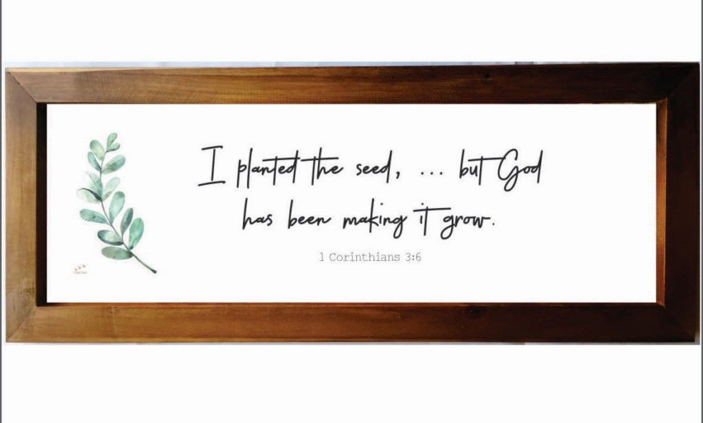 Wall Art Frames - I Plant The Seed But God - Size 24cm x 63cm