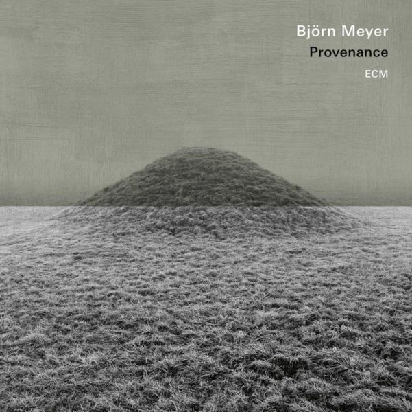 Vinyl / 12" Album image