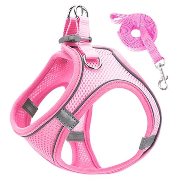 Harnesses And Leashes Set Pink