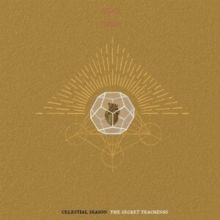 The Secret Teachings (Vinyl / 12" Album)
